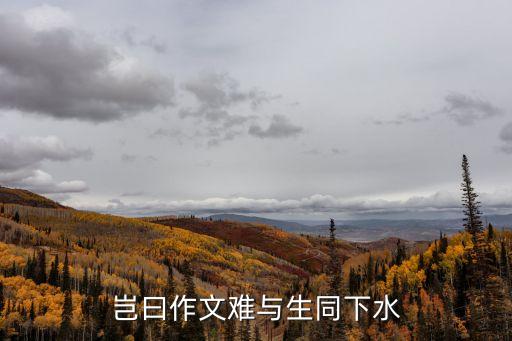 張文婷