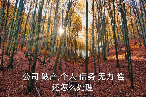 公司破產(chǎn)無(wú)力償還債務(wù)怎么辦,有限責(zé)任公司破產(chǎn)無(wú)力償還債務(wù)怎么辦