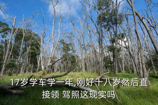 17歲學(xué)車學(xué)一年,剛好十八歲然后直接領(lǐng) 駕照這現(xiàn)實(shí)嗎
