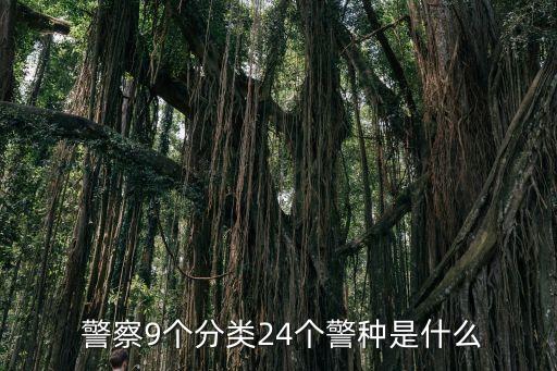  警察9個分類24個警種是什么