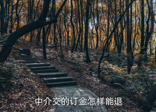 一招讓中介退中介費(fèi),一時(shí)沖動(dòng)交了定金還能退回嗎