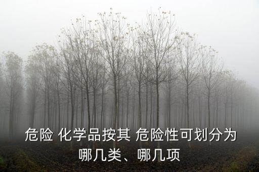  危險 化學品按其 危險性可劃分為哪幾類、哪幾項