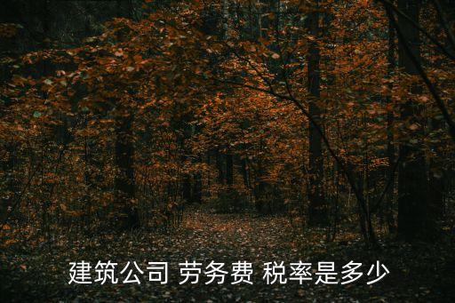建筑勞務(wù)稅率,小規(guī)模納稅人開(kāi)建筑勞務(wù)稅率