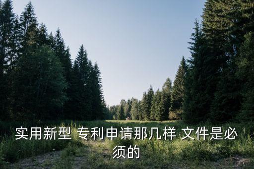 專利文件,發(fā)明人或者設(shè)計人有署名權(quán),即在專利文件