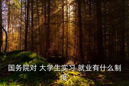 國務(wù)院對(duì) 大學(xué)生實(shí)習(xí) 就業(yè)有什么制度