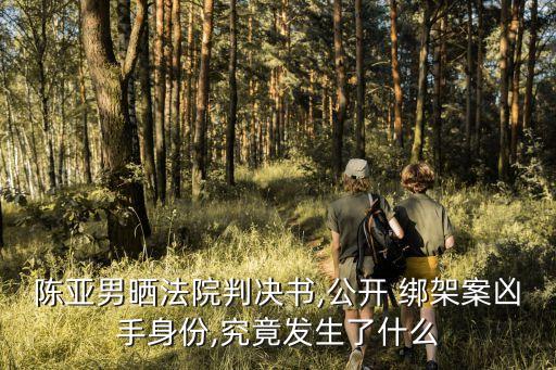 陳亞男曬法院判決書,公開 綁架案兇手身份,究竟發(fā)生了什么
