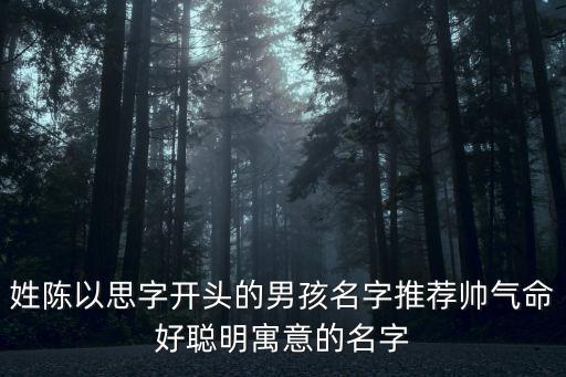陳思清