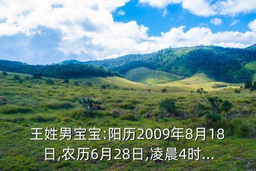 王姓男寶寶:陽歷2009年8月18日,農(nóng)歷6月28日,凌晨4時(shí)...
