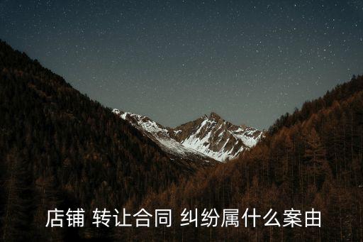  店鋪 轉(zhuǎn)讓合同 糾紛屬什么案由