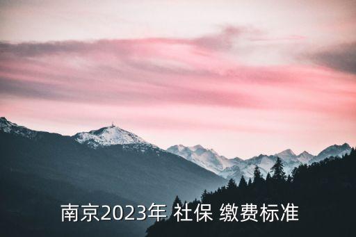  南京2023年 社保 繳費(fèi)標(biāo)準(zhǔn)