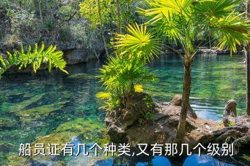  船員證有幾個種類,又有那幾個級別
