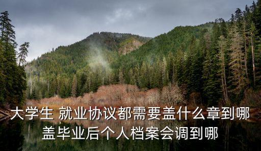 大學(xué)生 就業(yè)協(xié)議都需要蓋什么章到哪蓋畢業(yè)后個(gè)人檔案會(huì)調(diào)到哪