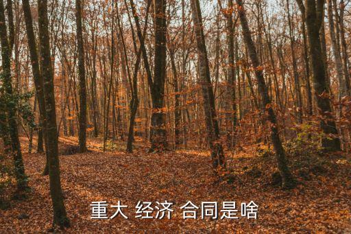 經(jīng)濟(jì)合同