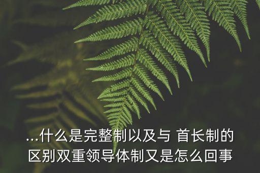 ...什么是完整制以及與 首長制的區(qū)別雙重領(lǐng)導(dǎo)體制又是怎么回事