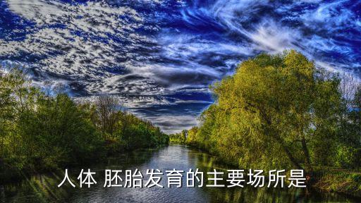 人體胚胎