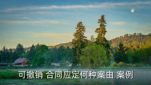 可撤銷 合同應(yīng)定何種案由 案例
