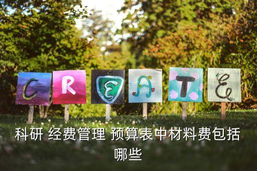 經(jīng)費(fèi)預(yù)算,512護(hù)士節(jié)活動(dòng)經(jīng)費(fèi)預(yù)算