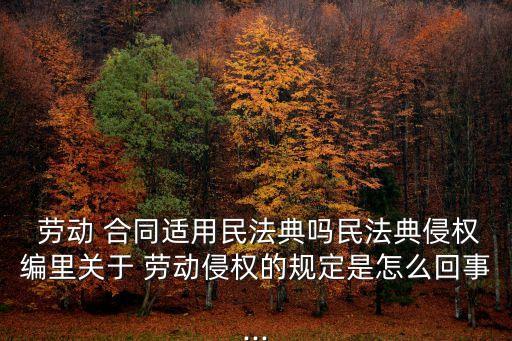  勞動(dòng) 合同適用民法典嗎民法典侵權(quán)編里關(guān)于 勞動(dòng)侵權(quán)的規(guī)定是怎么回事...