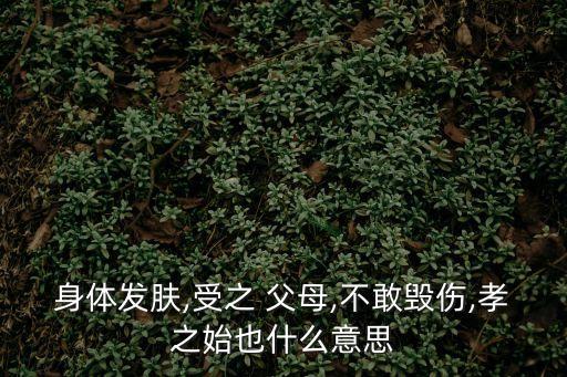 受之父母,有句老話怎么說來著?什么受之父母