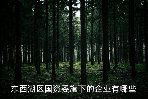 武漢外企
