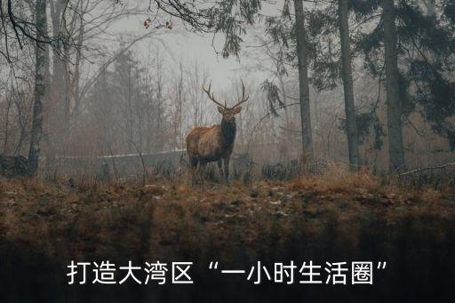 打造大灣區(qū)“一小時(shí)生活圈”
