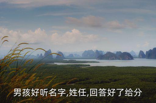 男孩好聽(tīng)名字,姓任,回答好了給分