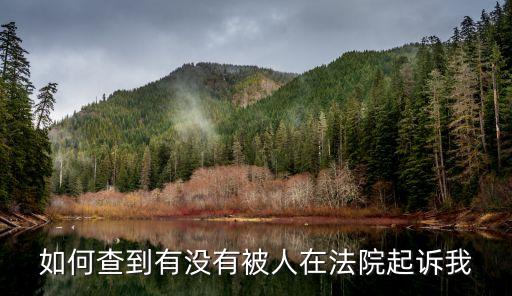 涉訴查詢,全國法院涉訴查詢