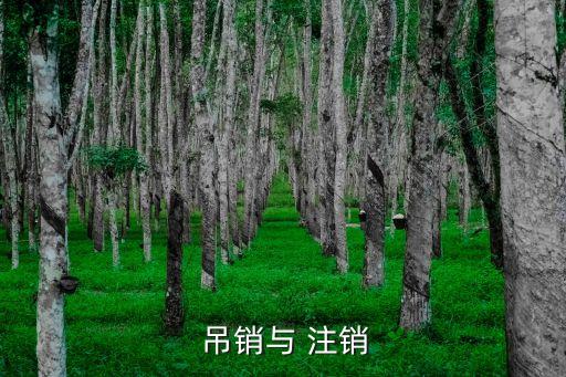  吊銷與 注銷