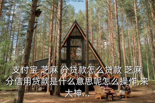 芝麻分貸,不查征信只查芝麻信用的貸款
