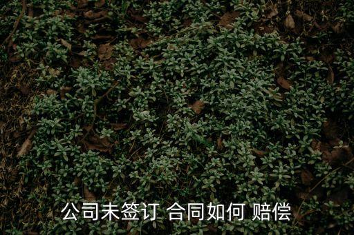 公司未簽訂 合同如何 賠償