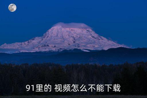 91里的 視頻怎么不能下載