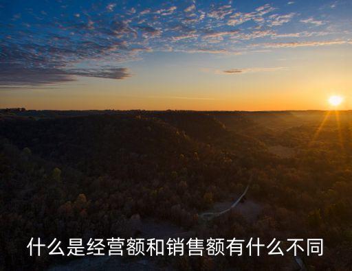 營業(yè)額是什么意思,個體戶營業(yè)額是什么意思