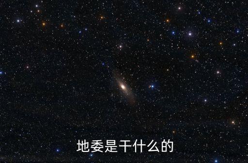  地委是干什么的