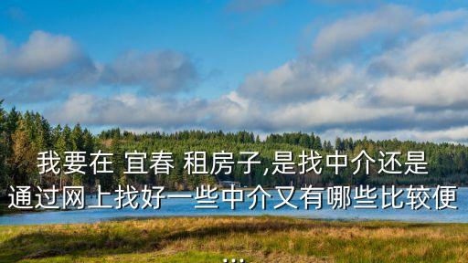 我要在 宜春 租房子,是找中介還是通過網(wǎng)上找好一些中介又有哪些比較便...