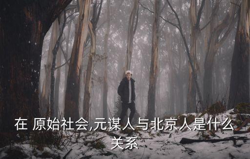 在 原始社會(huì),元謀人與北京人是什么關(guān)系