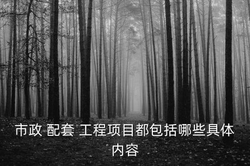 市政 配套 工程項(xiàng)目都包括哪些具體內(nèi)容