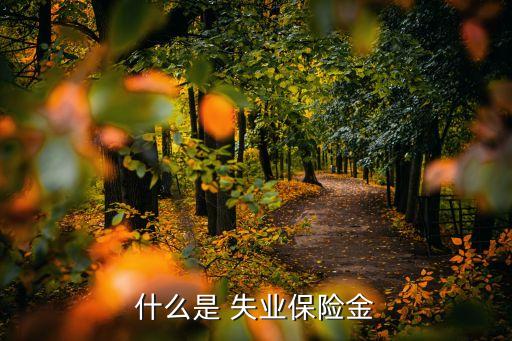 什么是 失業(yè)保險(xiǎn)金