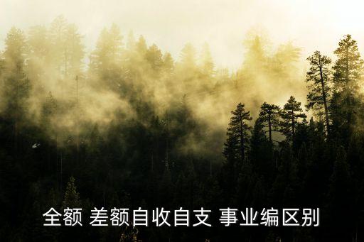 全額 差額自收自支 事業(yè)編區(qū)別