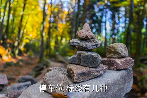 指示標(biāo)線,圖中道路中心黃色虛線屬于指示標(biāo)線