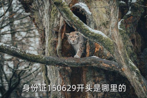 身份證150629開頭是哪里的