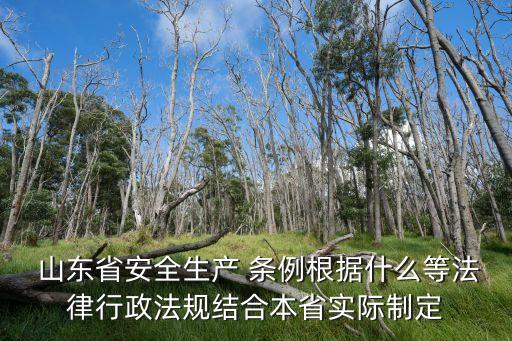 山東安全生產(chǎn)條例