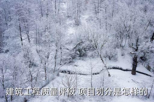 項(xiàng)目等級(jí),醫(yī)療收費(fèi)項(xiàng)目等級(jí)
