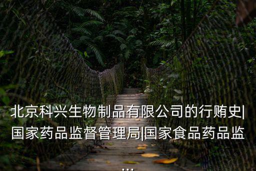 北京科興生物制品有限公司的行賄史|國家藥品監(jiān)督管理局|國家食品藥品監(jiān)...
