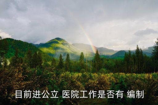 目前進公立 醫(yī)院工作是否有 編制