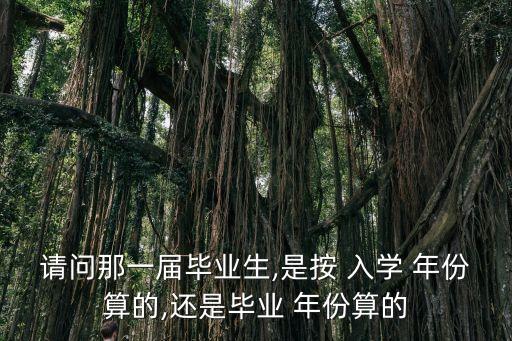 入學(xué)年份