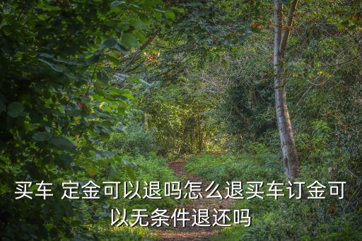 退定車定金的最好辦法