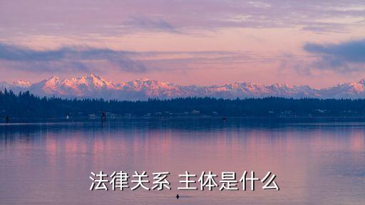  法律關(guān)系 主體是什么
