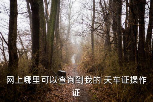 網(wǎng)上哪里可以查詢到我的 天車證操作證