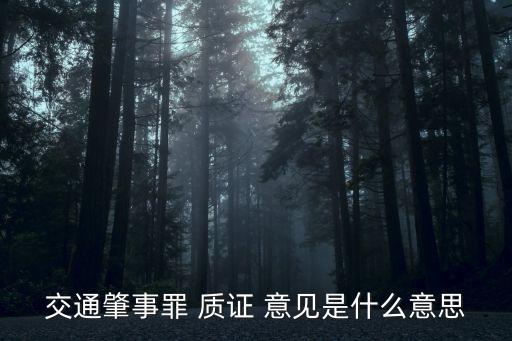 交通肇事罪 質(zhì)證 意見是什么意思