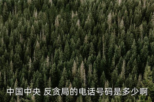 中國(guó)中央 反貪局的電話號(hào)碼是多少啊